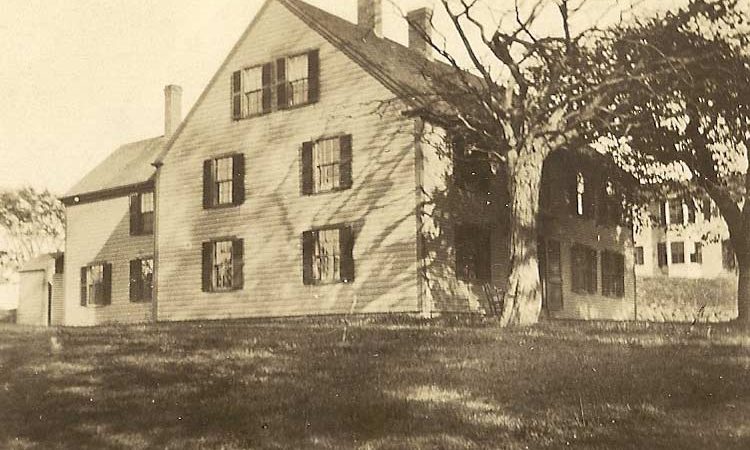 Sturgis library old photo with tree outside before car park